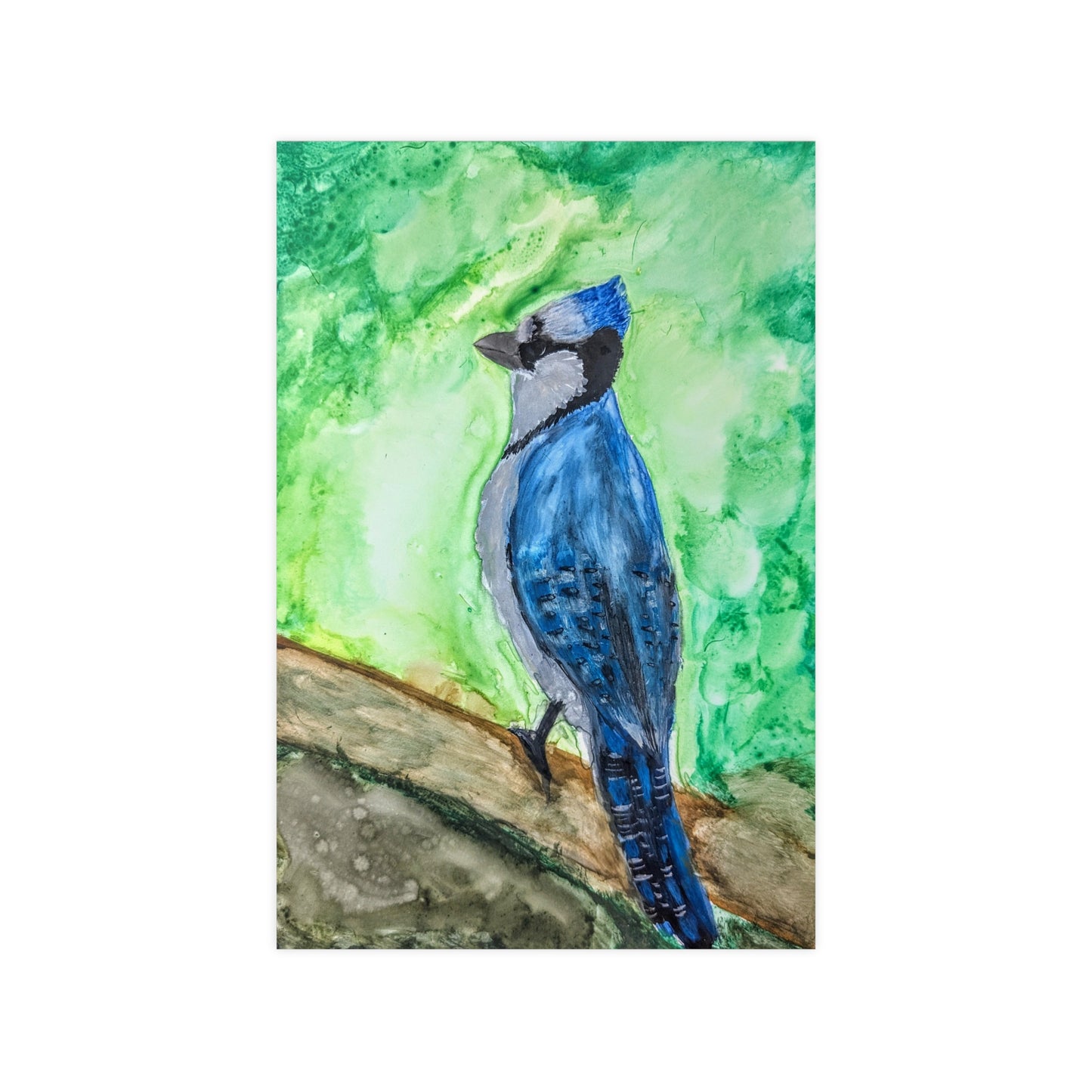 (EU only) Poster Blue Jay